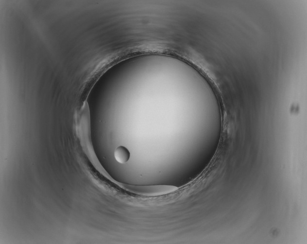 X0000097510013200802221517