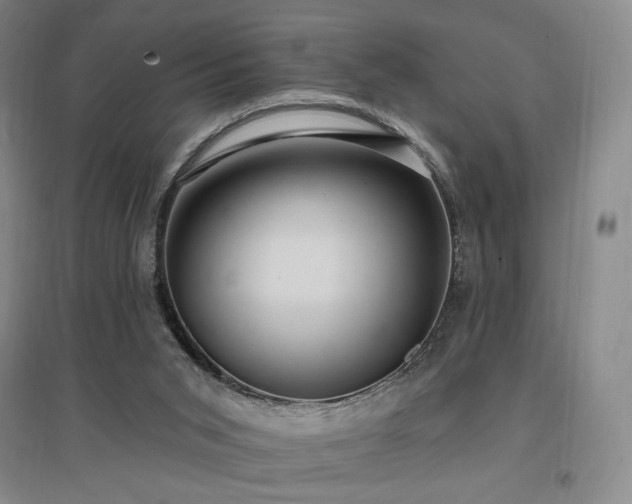 X0000097510015200802221517