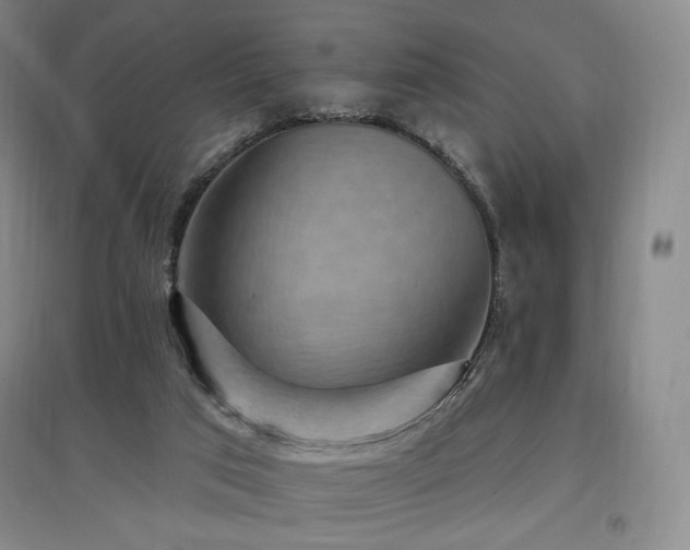 X0000097510017200802221517