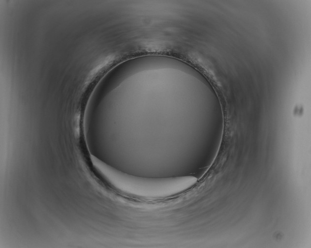 X0000097510019200802221517