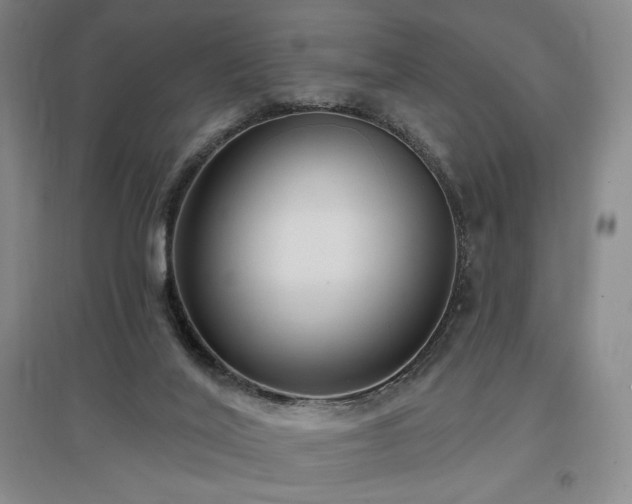 X0000097510020200802221517
