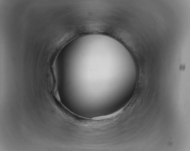X0000097510021200802221517