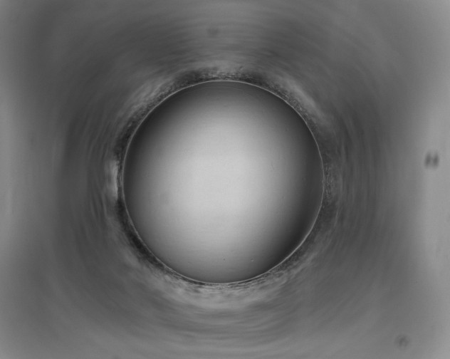 X0000097510022200802221517