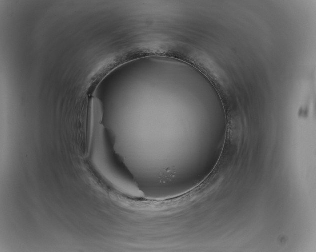 X0000097510023200802221517