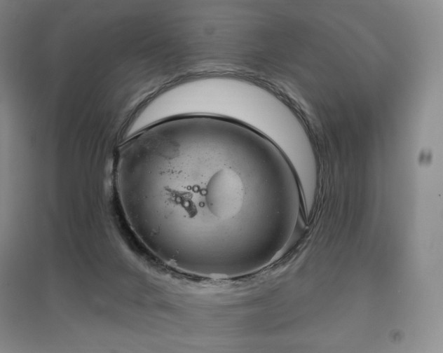X0000097510024200802221517