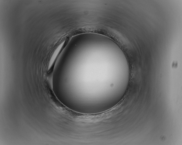 X0000097510025200802221517