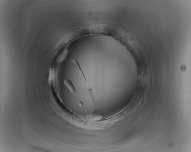 X0000097510027200802221517