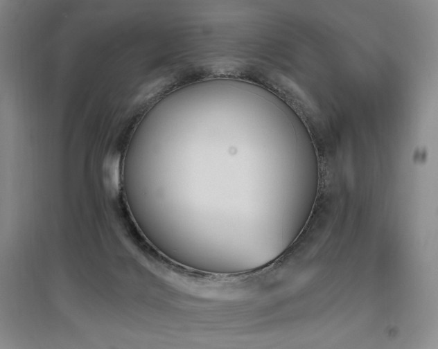 X0000097510028200802221517