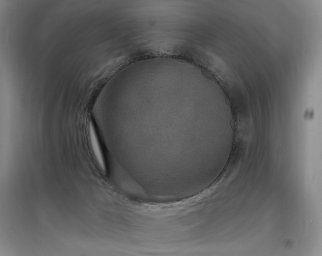 X0000097510029200802221517