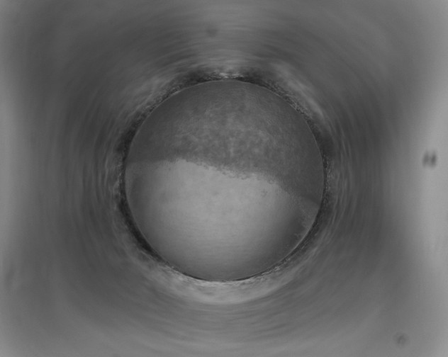 X0000097510030200802221517