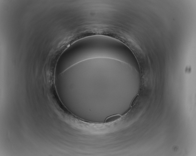 X0000097510031200802221517