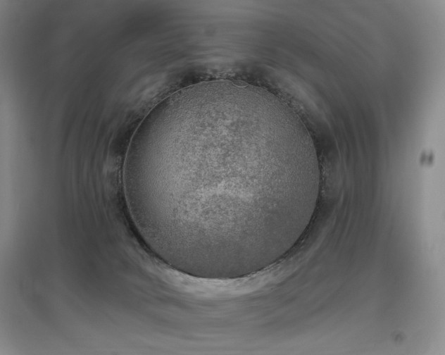 X0000097510034200802221517