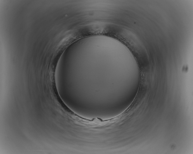 X0000097510035200802221517