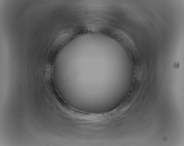 X0000097510036200802221517