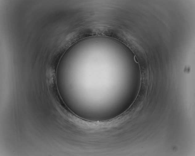 X0000097510038200802221517