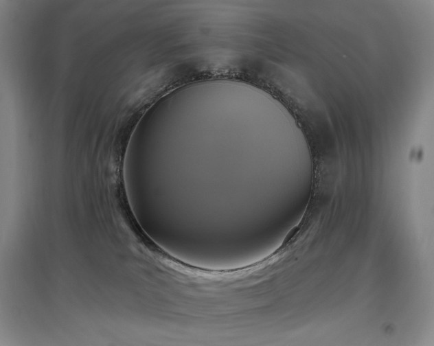 X0000097510039200802221517