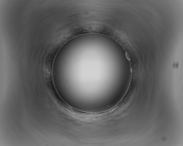 X0000097510040200802221517