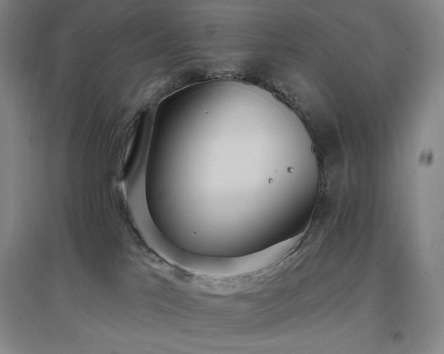 X0000097510041200802221517