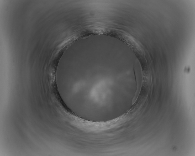 X0000097510043200802221517