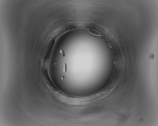 X0000097510044200802221517