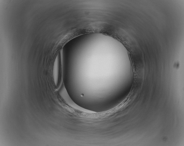X0000097510045200802221517