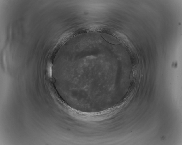 X0000097510046200802221517