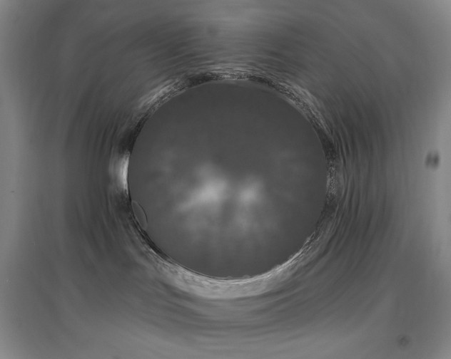 X0000097510047200802221517