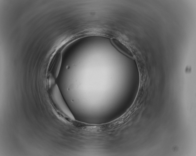 X0000097510050200802221516