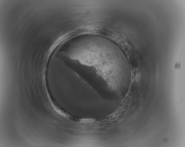 X0000097510051200802221516