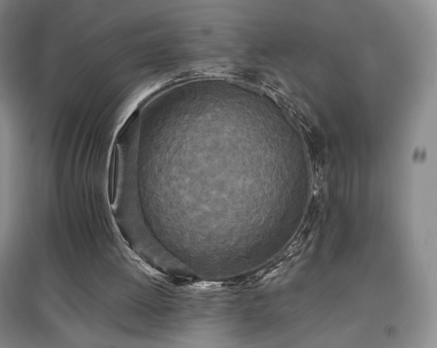 X0000097510052200802221516
