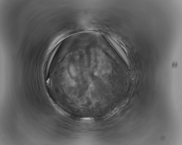 X0000097510053200802221516