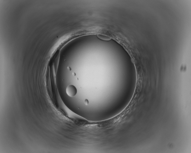 X0000097510054200802221516