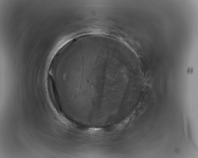 X0000097510055200802221516