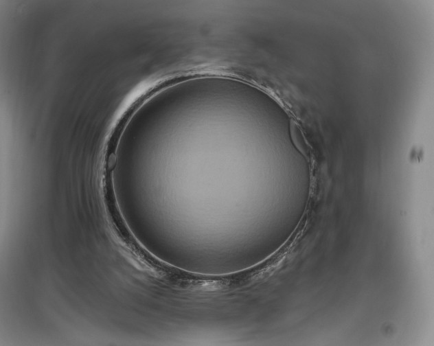 X0000097510056200802221516