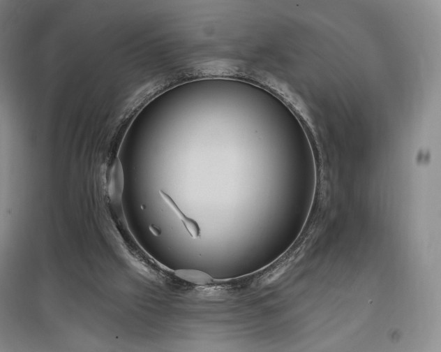 X0000097510057200802221516