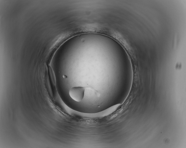 X0000097510058200802221516