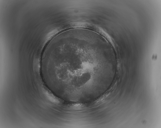 X0000097510059200802221516