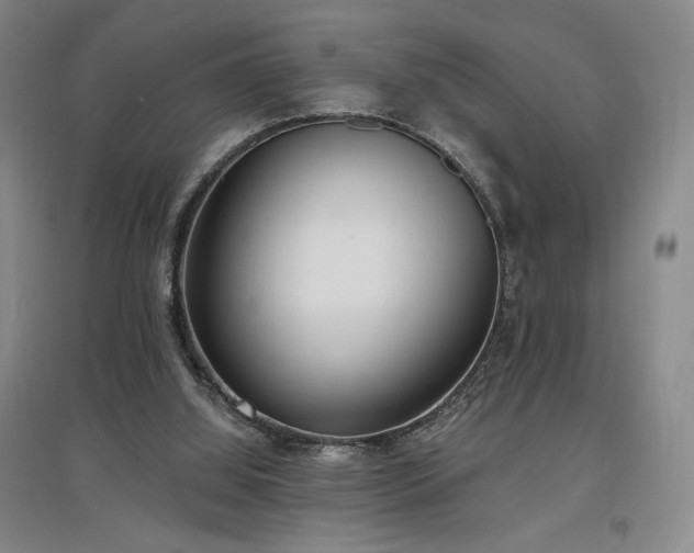 X0000097510060200802221516