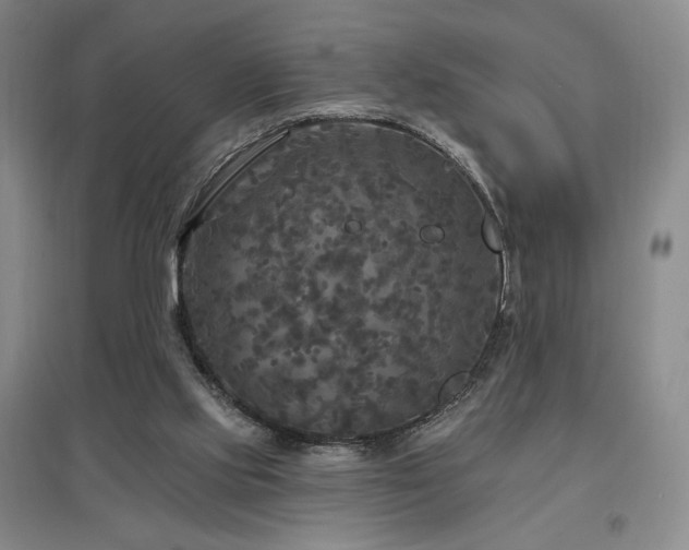 X0000097510061200802221516