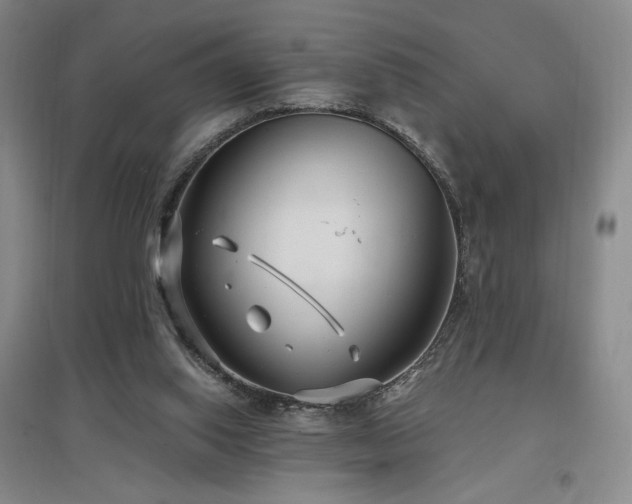 X0000097510062200802221516