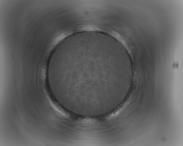 X0000097510063200802221516
