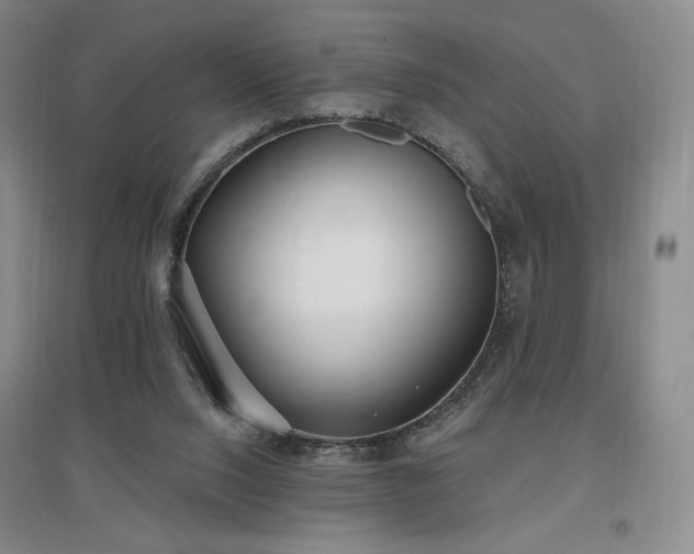 X0000097510064200802221516