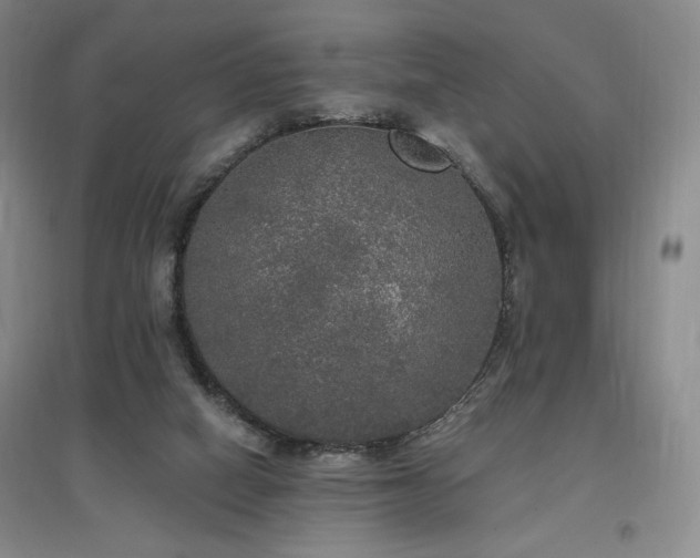 X0000097510066200802221516