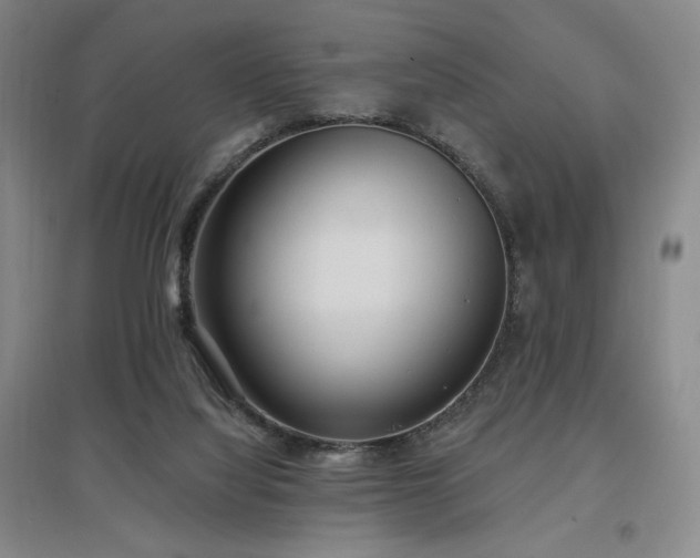 X0000097510068200802221516