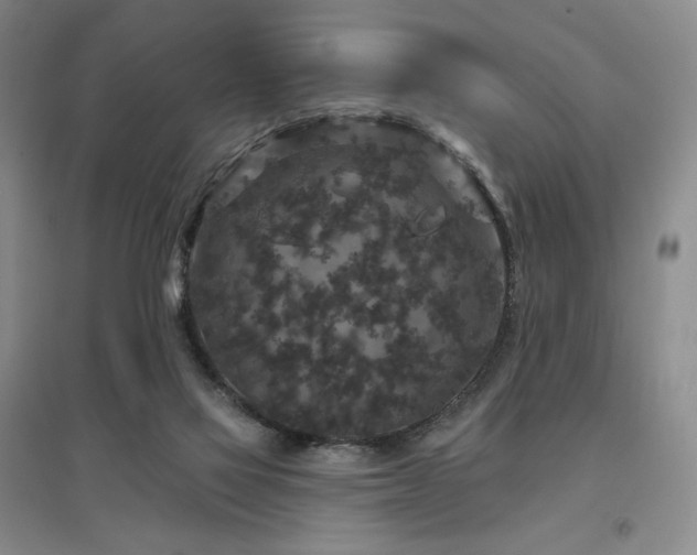 X0000097510069200802221516