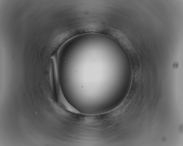 X0000097510070200802221516
