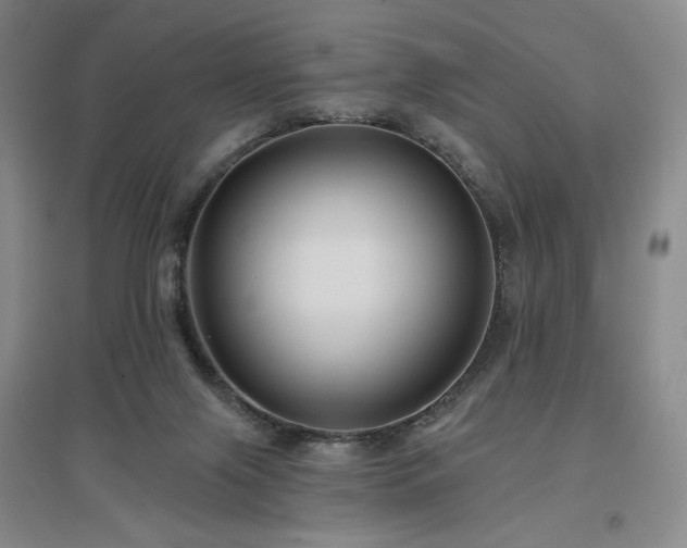 X0000097510071200802221516
