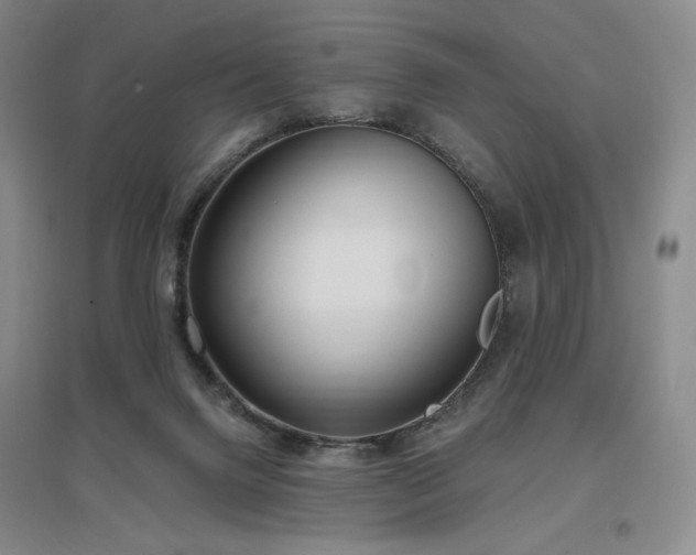 X0000097510072200802221517