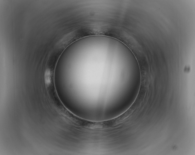 X0000097510075200802221517