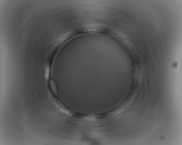 X0000097510076200802221517